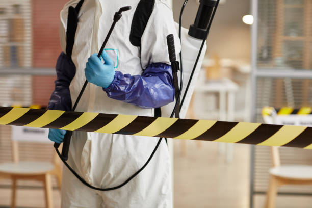 Professional Sewage Cleanup technician working in Jonesboro, IN